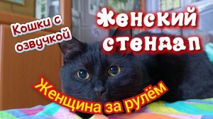 ЖЕНСКИЙ СТЕНДАП. Кошки с озвучкой.