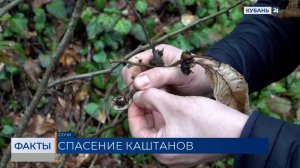 ФАКТЫ. Выпуск от 31.03.2026