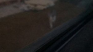 ДВОР ОБЗОР ПРИКОЛЬНО