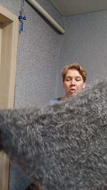 Большой пуховый полушалок из шикарного светлого козьего пуха. цена 6000.  +79030300712