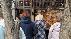 Город Кошек Зеленоградск в Калининградской обл.