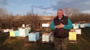 31 марта итоги зимовки 2025- 2026гг.