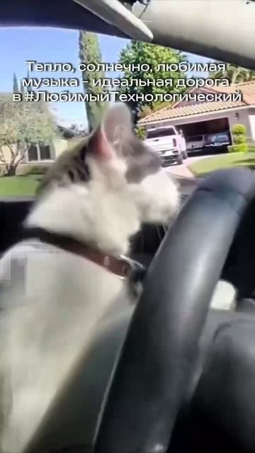 Доброе утро, КНИТУ!