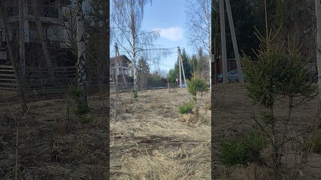 2) д.Загорье, г.о. Солнечногорск, 999 м2, осмотр 31.03.2026