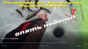 ОКУНЬ В ЛАМБИНЕ. Воскресная рыбалка в ожидании сига.