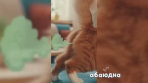 Прикол💣🔥🤣#видео #рутуб #тренд#рейтинг #прикол #хайп #юмор #абаюдна #детям #детский #ии