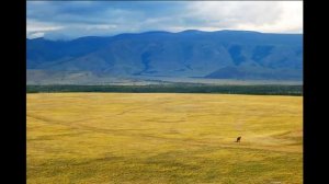 Василий Шукшин. И разыгрались же кони в поле. Аудиозапись.