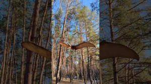 Белгород. Парк динозавров снова радует жителей и гостей города Белгорода. Открыли 28 марта.