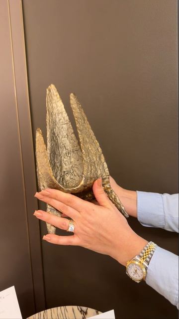 Марета Новикова посетила Sky Living.