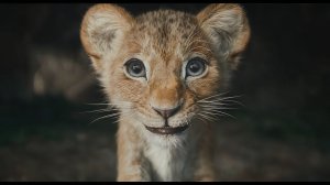 Papaoutai (Afro Soul) - The Lion King Cinematic Tribute (Fan Made)