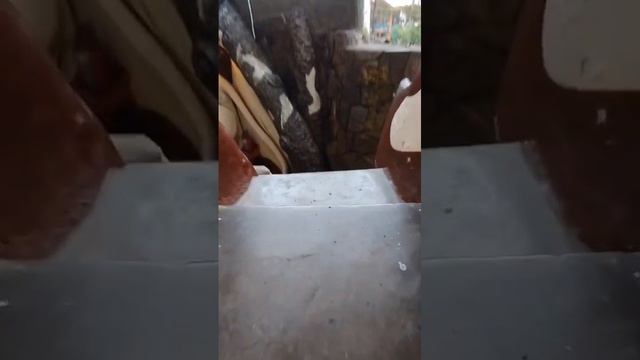 Сумасшедший дом в Далате (Вьетнам). The crazy house in Dalat (Vietnam)