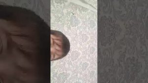 бравостарс