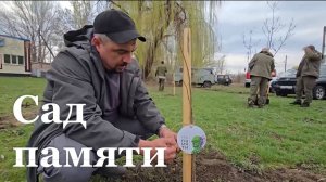 В Станице-Луганской высадили 80 молодых берез и рябин в память о погибших воинах