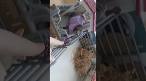 Обзор на конюшню