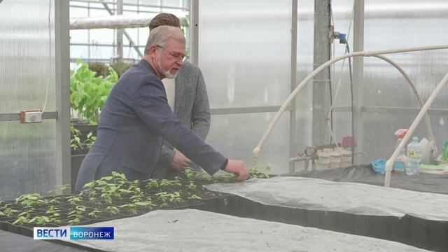 В программе ВЕСТИ Воронеж, вышел сюжет о стартапе студента ВГЛТУ