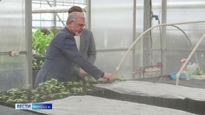 В программе ВЕСТИ Воронеж, вышел сюжет о стартапе студента ВГЛТУ