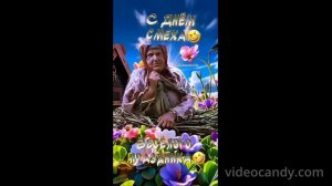 С 1 АПРЕЛЯ! Подборки шортс видео