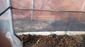 теплица женскими руками