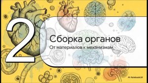 Биология 8 класс параграф 4 Организм многоклеточного животного краткий пересказ