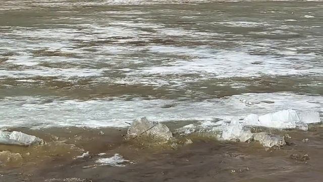 29 марта 2026 года, Оренбургская область, Беляевский район. 
Тополя. Урал.