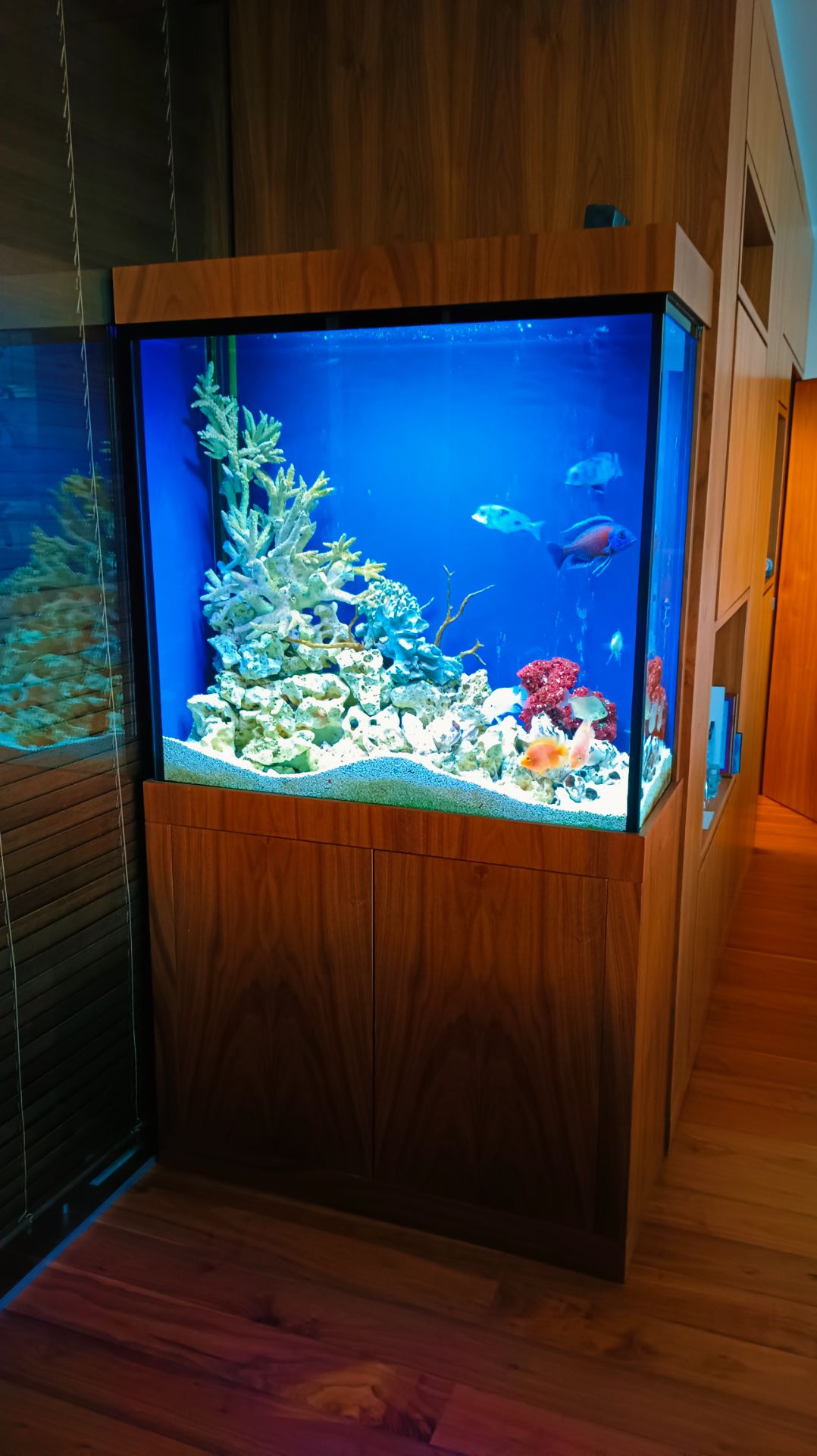 Аквариум на заказ  Аквастекло  Москва