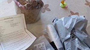 Ждать ещё  долго ,а руки уже чешутся  . Вот и ростим на окне.жизнь в деревне.