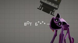 Обычный день cat napa