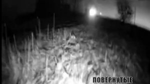 Кадры со стороны врага !!!
Прилёт FPV-дрона по бронеавтомобилю ВСУ в объективе украинского НРК !!!