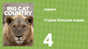 Страна больших кошек 4 серия (документальный сериал, 2020)