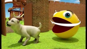 Игрушки с животными для детей. Веселое приключения с Пакман. Учим диких животных с пакман для детей