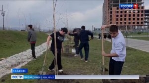В центральном парке Баксана создали Аллею памяти погибших участников СВО