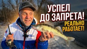 УСПЕЛ! Последняя рыбалка перед ЗАПРЕТОМ. Такого клева я не ожидал!