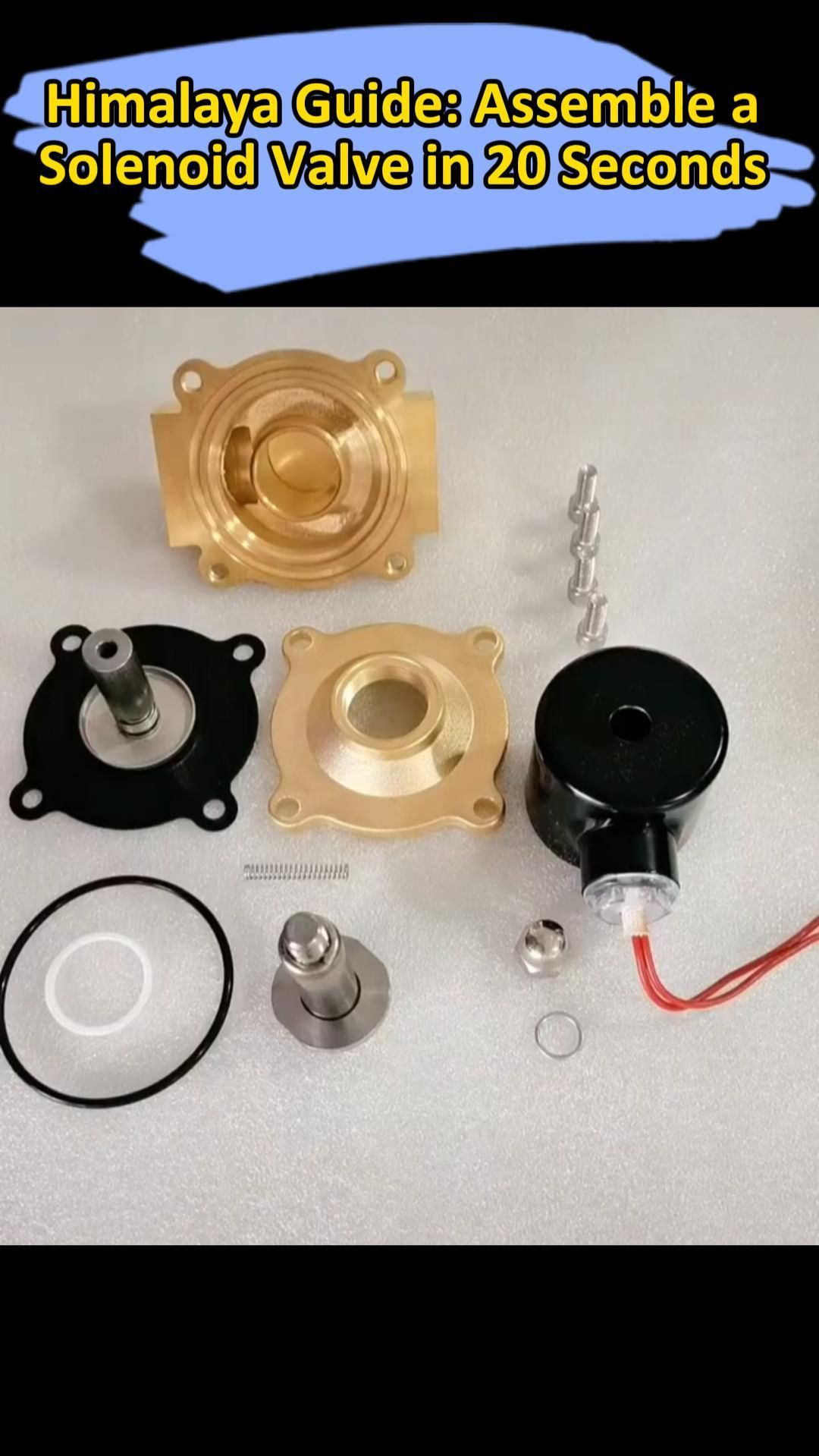 Как собрать электромагнитный клапан за 20 секунд | Пошаговая инструкция от Himalaya Guide