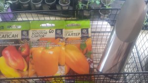 31.03.2026 Покупки для организации вертикального озеленения и посевов на сезон 2027.