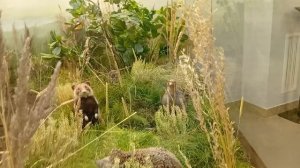 я в рязанском музее.