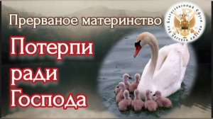 Потерпи ради Господа!
Прерванное материнство.
(видео из архива РПЦ ЦИ)
Схиигумения Олимпиада.