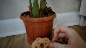 Монстры дома у капибарки!!! 😊🤔🤐 Капибарка испугался!!!??! 😱🤐😎👀😂 Они страшные?!?! 😵