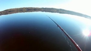 РЫБАЛКА НА ДОНКИ.р ВОЛГА