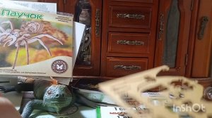 Обзор на 1 деревянный конструктор Паук от фирмы ,, Чудо Дерево " почему 1 узнаешь в этом видео.