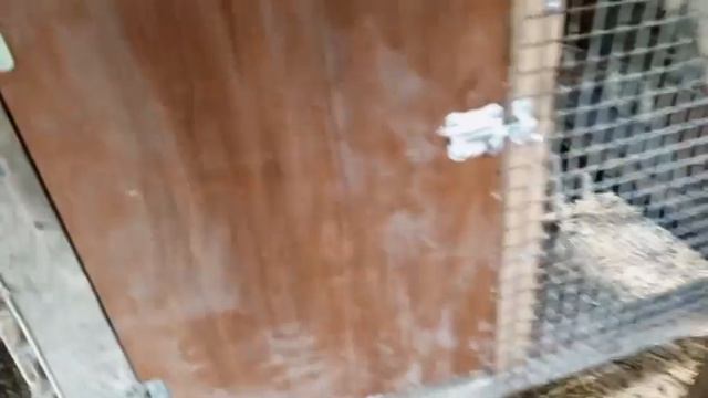 Клетка полностью готова