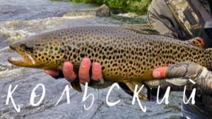 Кольский полуостров ЛУЧШАЯ рыбалка года! Поход на секретный ручей.