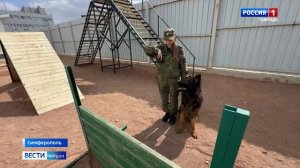 12 лет назад было основано управление Крымской таможенной службы