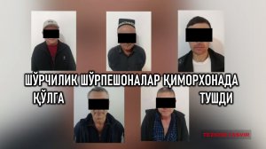 Шўрчилик шўрпешоналар қиморхонада қўлга тушдилар