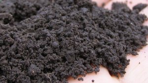 Образование почвы - наглядно и на глазах.