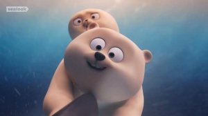 Морские Котики: Самые популярные | Лучшая месячная подборка