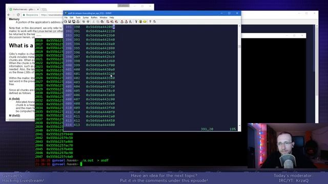 Hacking Livestream 12 Heap Exploitation Basics [get.gt]