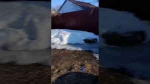 Сериал Зомби-апокалипсис 2 сезон 3 серия битва с 👽👽 НЛО👽👽👽