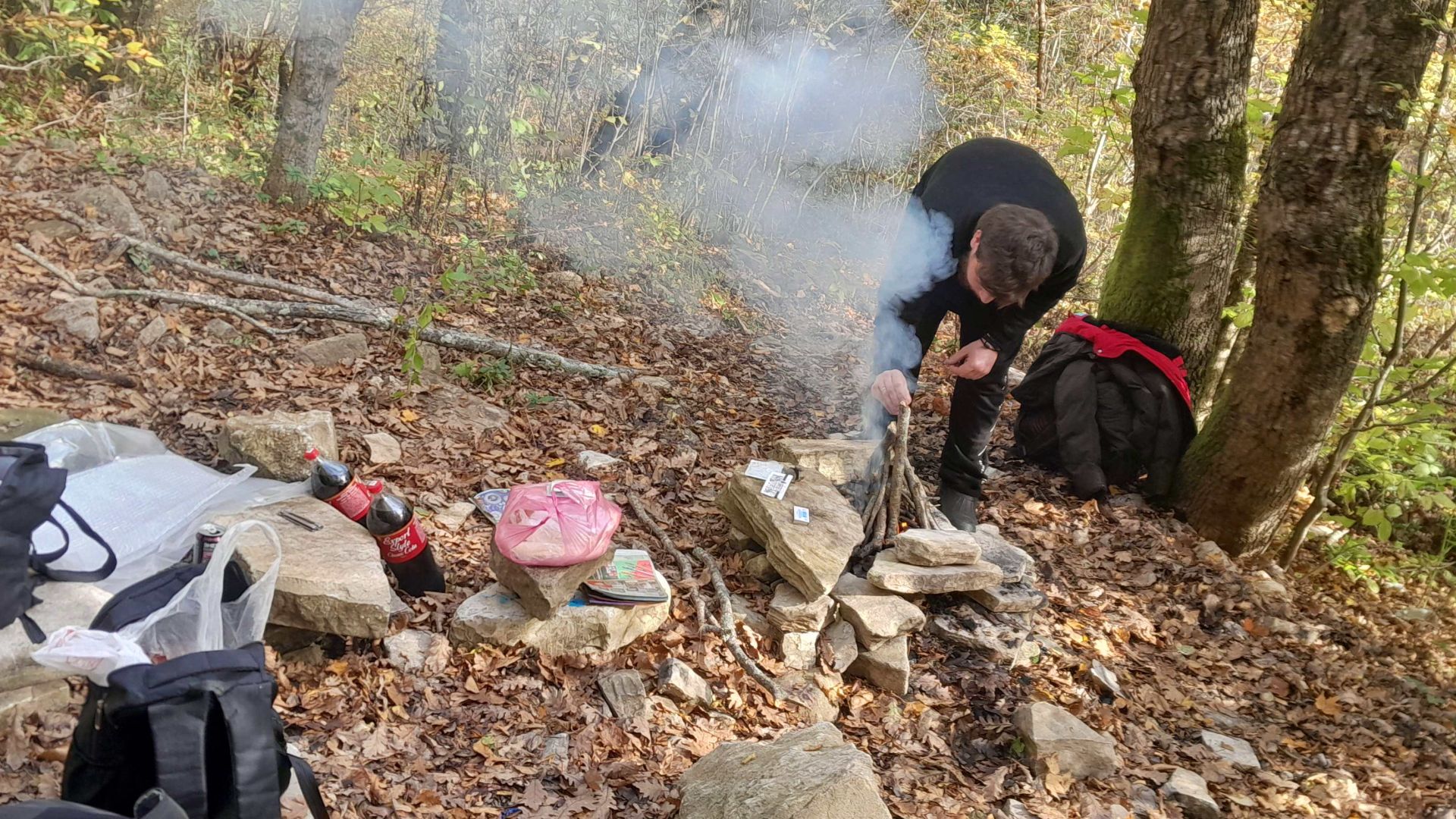 Пикник в лесу Часть:1