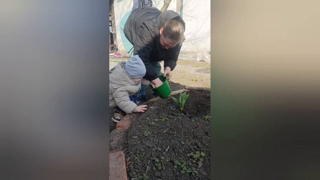 огород с малышами