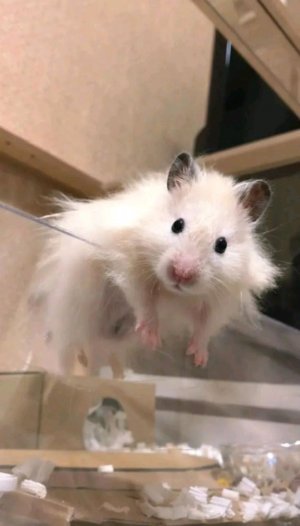 ❤🔥❤🔥❤🔥❤🔥